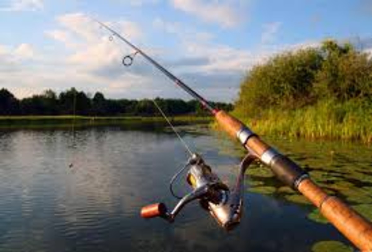 Fishing Pole or Baitcaster Rods: Which One Should You Learn With?