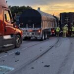Everything You Need to Know About Dan Bongino Wife Car Crash